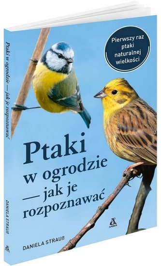 Ptaki w ogrodzie - jak je rozpoznawać w.4