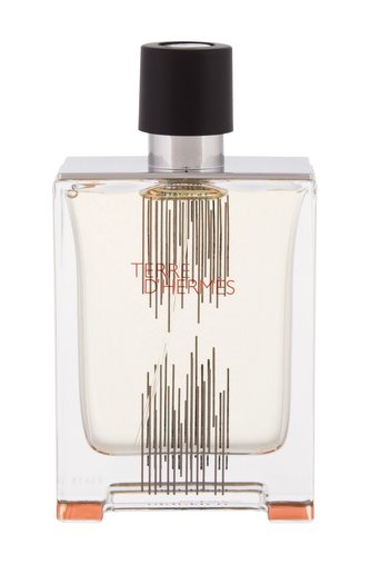 Hermes Terre d´Hermes Toaletní voda Flacon H 2021 100 ml pro muže