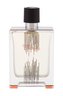 Hermes Terre d´Hermes Toaletní voda Flacon H 2021 100 ml pro muže