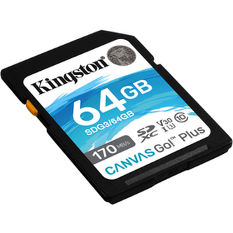 Flash pamäť KINGSTON SDG3/64GB