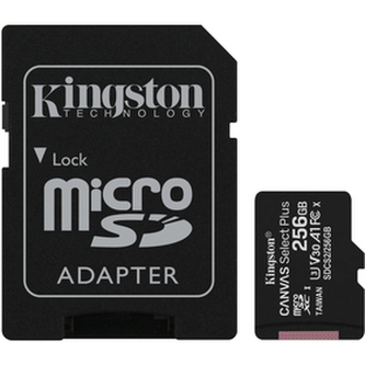 Pamäťová karta KINGSTON SDCS2/256GB