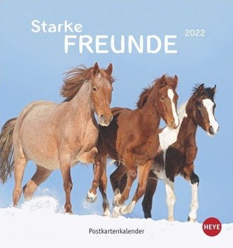 Pferde Postkartenkalender 2022