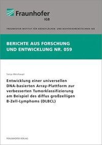 Entwicklung einer universellen DNA-basierten Array-Plattform zur verbesserten Tumorklassifizierung am Beispiel des diffus großze