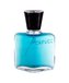 Roberto Capucci Blu Water Parfémovaná voda 100 ml pro muže