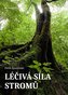 Léčivá síla stromů