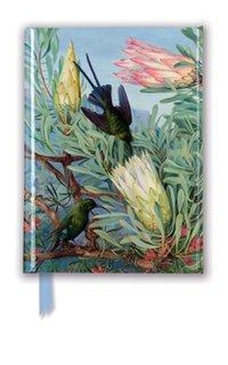 Kew Gardens' Marianne North: Foliage and Flowers (Foiled Pocket Journal)