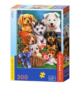 Puzzle 300 Puppies CASTOR