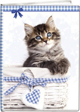 Památník A5 bez zámku Micinka