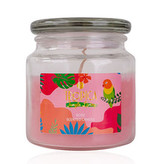 ACCENTRA Vonná svíčka Tropica Rose (Scented Candle) unisex