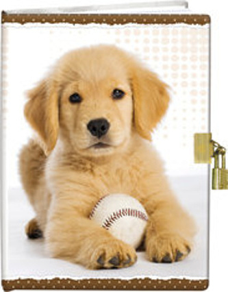 Památník A5 se zámkem Pejsek s míčkem