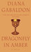 Dragonfly in Amber Dragonfly in Amber