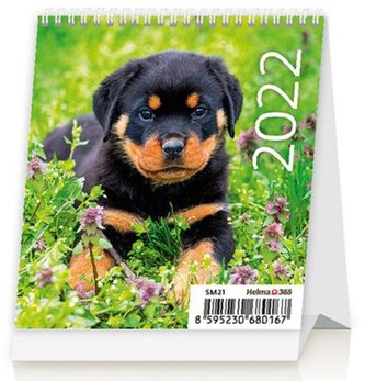 Kalendář stolní 2022 - Mini Puppies