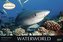 Waterworld 2022