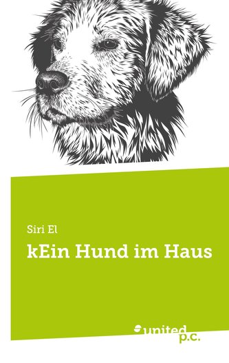 kEin Hund im Haus
