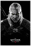 Plakát The Witcher|Zaklínač: Toxicity Poisoning (61 x 91,5 cm)