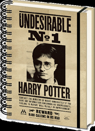 3D premieňací A5 blok-zápisník Harry Potter: Sirius & Harry (14,8 x 21 cm) krúžková väzba