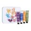 Institut Karite Shea Hand Cream krém na ruce Shea Hand Cream Almond & Honey 30 ml + krém na ruce Shea Hand Cream Milk Cream 30 ml + krém na ruce Light Hand Cream Lavender & Shea 30 ml + krém na ruce Light Hand Cream Verbena & Shea 30 ml + plechová krabičk