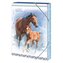 Box na sešity A4 Wild horses
