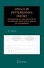 Singular Perturbation Theory