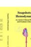 Snapshots of Hemodynamics
