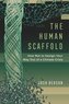 Human Scaffold