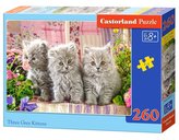 Puzzle 260 Tri sivé mačiatka CASTOR