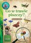 Młody Obserwator Przyrody. Co w trawie piszczy?