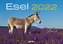 Esel 2022