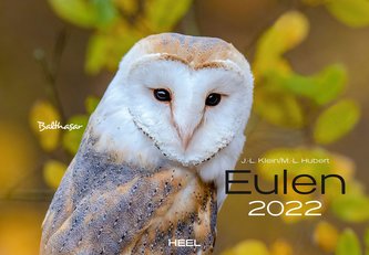 Eulen 2022