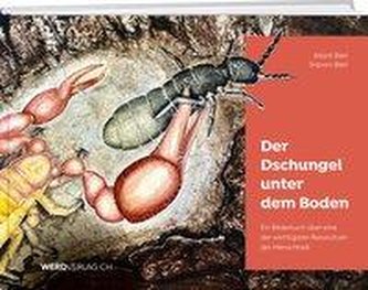 Der Dschungel im Boden