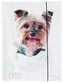 Teczka A4 z gumką Pets-12