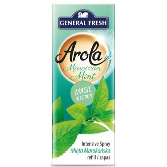GF náplň do šišky Marokánská máta 40 ml