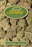 Marijuana Harvest: How to Maximize Quality and Yield in Your Cannabis Garden