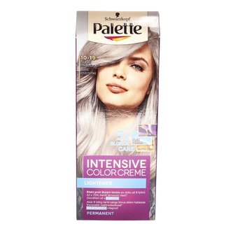 Barva na vlasy Palette 10-19 chladný stříbřitě plavý 50+50