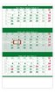 Kalendář nástěnný 2022 - Tříměsíční zelený