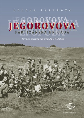 Jegorovova partizánska brigáda