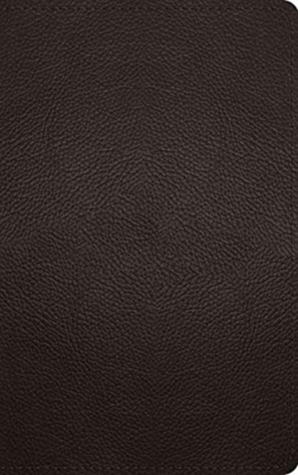 ESV Thinline Bible