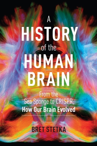 History of the Human Brain: From the Sea Sponge to CRISPR, How Our Brain Evolved