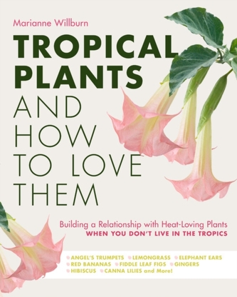 Tropical Plants and How to Love Them