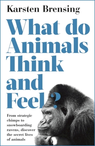 What Do Animals Think and Feel?