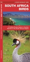 South Africa Birds