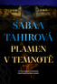Plamen v temnotě