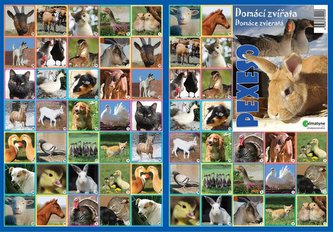 Pexeso - Domácí zvířata