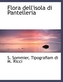 Flora Dell'isola Di Pantelleria