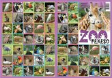 Pexeso - ZOO