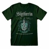Pánské tričko Harry Potter: Slytherin - Zmijozel znak (2XL) zelené bavlna