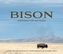 Bison