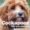 COCKAPOOS THE ESSENTIAL GUIDE