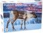 Puzzle 1000 Reindeer