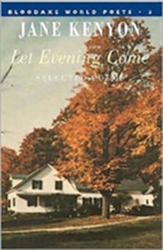 Let Evening Come
